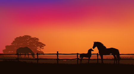 herd of grazing horses behind wooden fence - mother mare and baby foal, sunset field and tree vector silhouette landscapeのイラスト素材