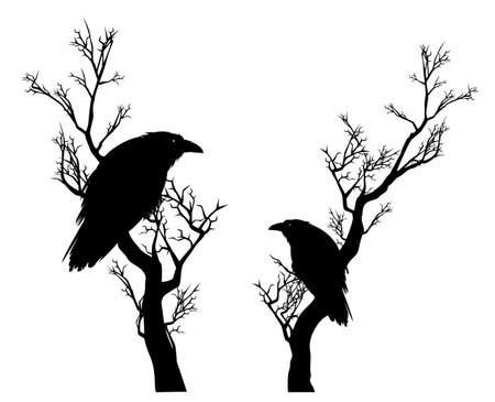 ominous lonely raven sitting on a long leafless tree branch - black crow bird halloween theme vector silhouette design setのイラスト素材