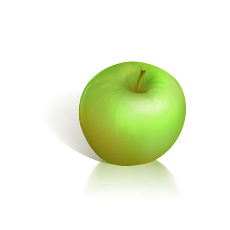 illustration of green apple on white backgroundのイラスト素材