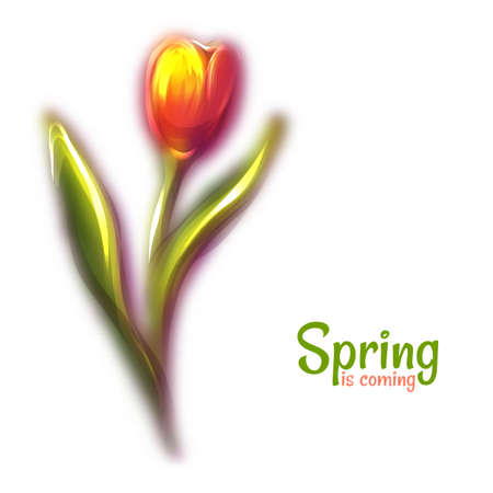 Vector illustration of red beautiful blur tulip.のイラスト素材