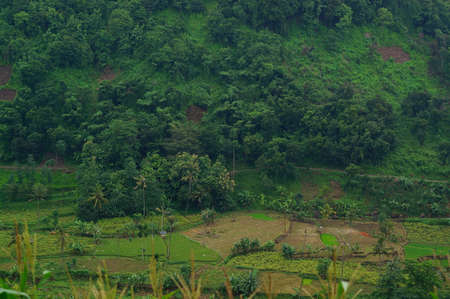 Plateau with a few trees under the foot of the mountain and was once a wildernessの写真素材