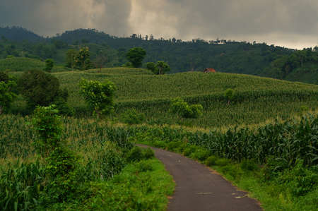 paved roads on hills or highlands connect the two villagesの写真素材