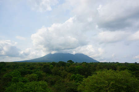 wilderness at the foot of the mountainの写真素材