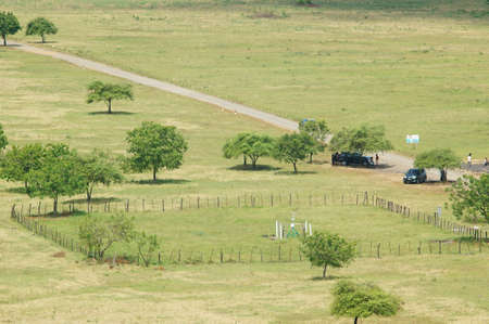 The savanna is dominated by dry grass and a few trees that spread wide with mountain and canyon background, it can be seen that some savanna inhabitants are looking for food.の写真素材