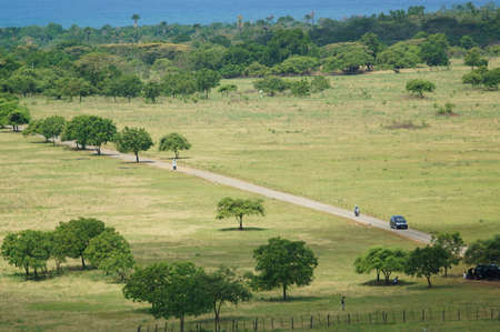 The savanna is dominated by dry grass and a few trees that spread wide with mountain and canyon background, it can be seen that some savanna inhabitants are looking for food.の写真素材