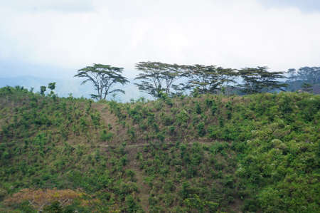 Plateau with a few trees under the foot of the mountain and was once a wildernessの写真素材
