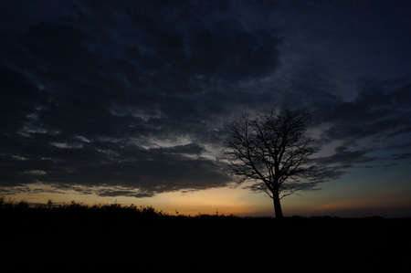 beautiful sunset or sunrise on the seashoreの写真素材