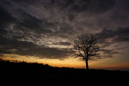 beautiful sunset or sunrise on the seashoreの写真素材