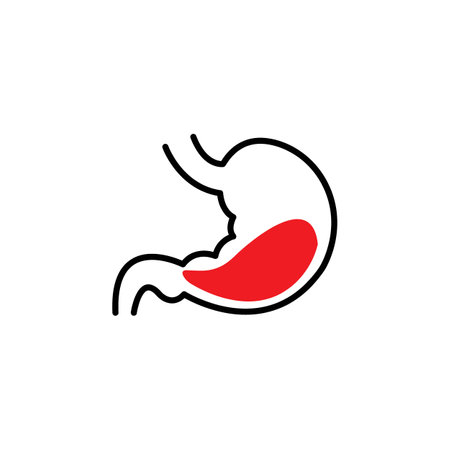stomach icon logo vector design templateのイラスト素材