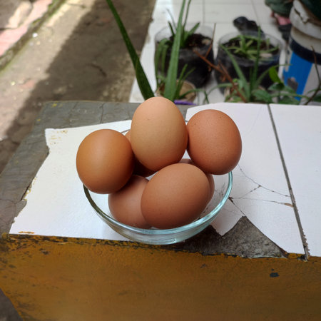 egg