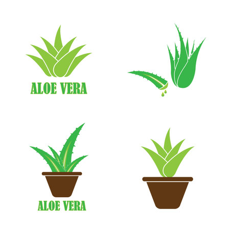 Aloe vera icon ;pgp vector design templateのイラスト素材