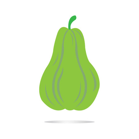 chayote icon logo vector design templateのイラスト素材