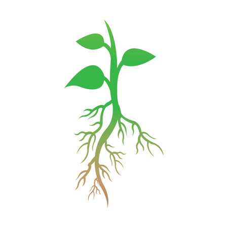 root of the tree icon logo vector design templateのイラスト素材