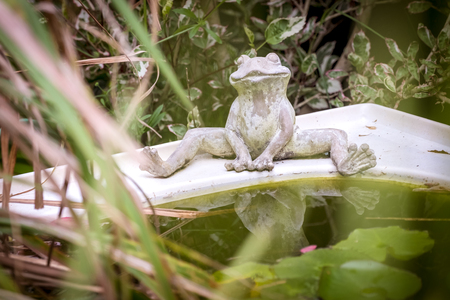 frog ormament at edge of bathの写真素材