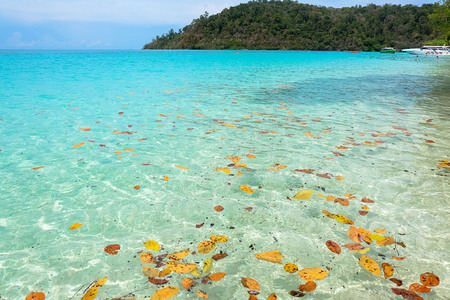 Rok Islandの写真素材