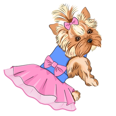 Vector Illustration of cartoon cute fashion dog ( purebred Yorkshire Terrier - pocket dog) in fluffy dress with lace skirt and big pink bow in her back and little bow in her hairのイラスト素材