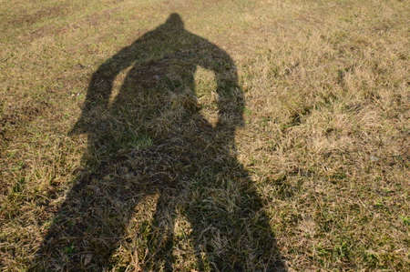 played of  shadows and photographed in nature and of the tripod and front of him on the grassの写真素材