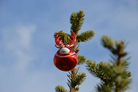 decorative ball raindeer for decorating christmas tree'sの写真素材