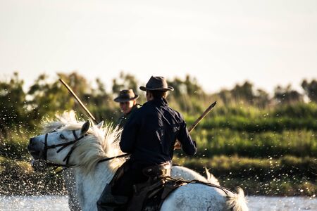 Saintes Maries de la Mer, France - May 16, 2015: Regional Natural Park, portrait of two cowboys - at sunset - in the swamps of the delta of the Rhone River that works to round up the horses That Are brought to the stables where they spend the nightのeditorial素材