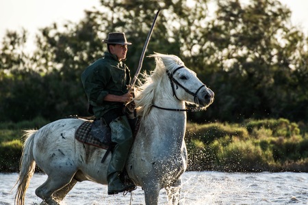 Saintes Maries de la Mer, France - May 16, 2015: the swamp of the delta of the Rhone at sunset, a cowboy gathers His horses to carry them in the stables where they will spend the night.のeditorial素材