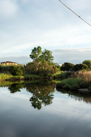 The Salina of Cervia, gateway to South Station and the Regional Park of the Po Delta, given an environment of high natural interest, so much so that it has been positioned as a Wetland of International Importance by the Ramsar Convention. Since 1979 he beの写真素材