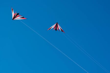 Cervia, Italy - May 2, 2015: Some kites That Participated in the International Kite Festival in 2015 in Cervia.のeditorial素材