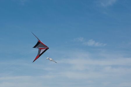 Cervia, Italy - May 2, 2015: Some kites That Participated in the International Kite Festival in 2015...