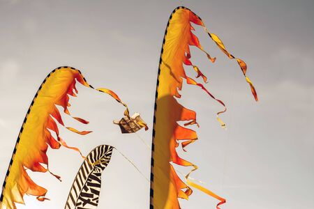 Cervia, Italy - May 2, 2015: Some kites That Participated in the International Kite Festival in 2015 in Cervia.のeditorial素材