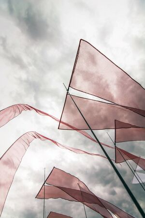 Cervia, Italy - May 2, 2015: Some kites That Participated in the International Kite Festival in 2015 in Cervia.のeditorial素材