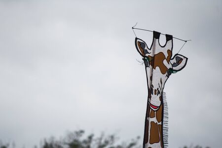 Cervia, Italy - May 2, 2015: Some kites That Participated in the International Kite Festival in 2015 in Cervia.のeditorial素材