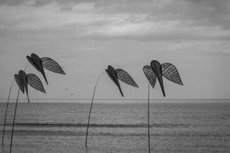Cervia, Italy - May 2, 2015: Some kites That Participated in the International Kite Festival in 2015 in Cervia.のeditorial素材