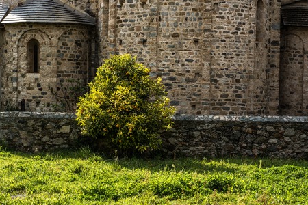 The San Paragorio of Noli, in Liguria, one of the most significant examples of Romanesque...