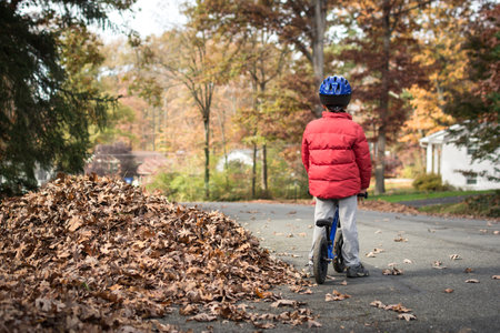 Young boy on balance bike next to a pile of raked leaves in fall.の写真素材