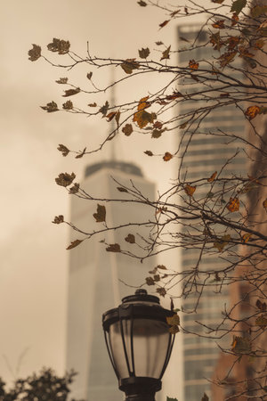 falling leaves autumn winter new york cityの写真素材