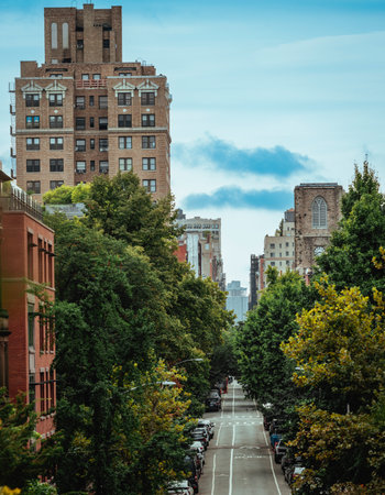 central park city trees park New York trees buildings avenue streetの写真素材