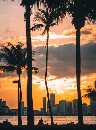 sunset in the city beach palms south pointe park Miamiの写真素材