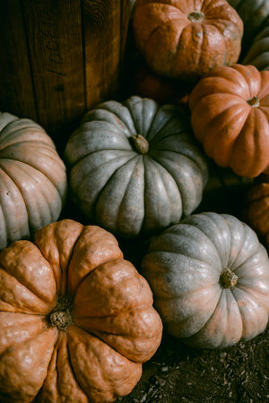 Light green and orange small pumpkinsの写真素材
