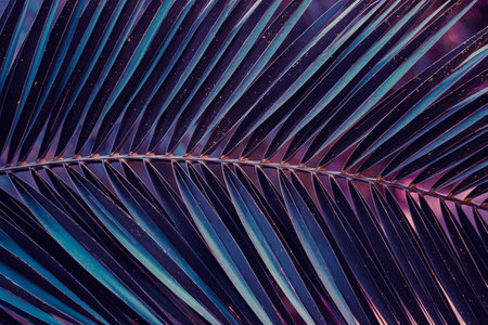blue palm tree leaves, blue backgroundの写真素材