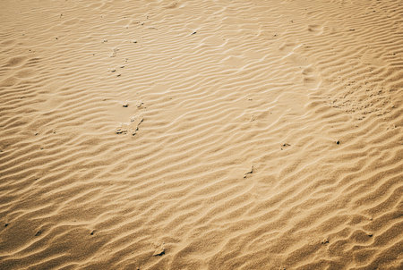 beach sand with forms formed by the windの写真素材