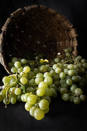 Organic white grapes on a dark background.の写真素材