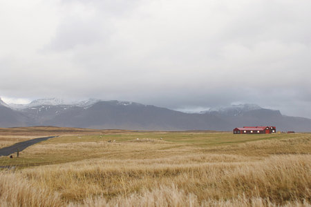 Field and house near mountainの写真素材