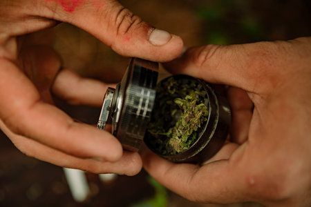 Close-up of a man rolling a marijuana cigarette in a forestの写真素材