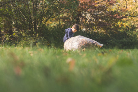 Young boy pulling a large bag of leaves.の写真素材