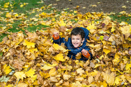 Young boy laughing and playing in pile of yellow leaves.の写真素材