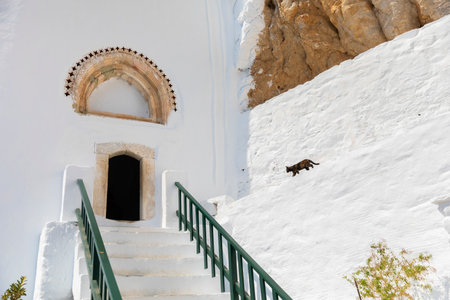 A cat walks on a wall at Hozoviotissa Monastery in Amorgos  Greeceの写真素材