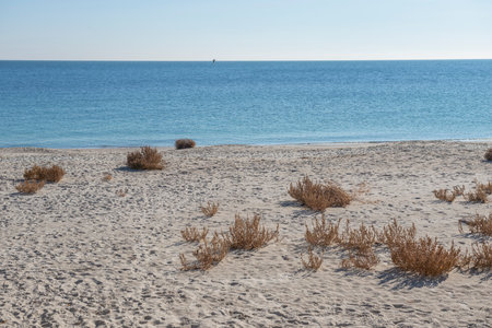 Abandoned Lanzheron beach in Odessa  Ukraineの写真素材