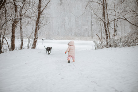 Young female child and black pet dog walking in winter wonderlanの写真素材