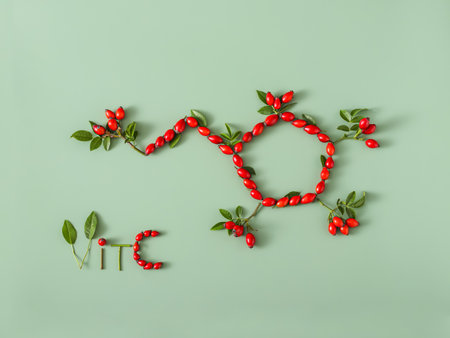 Vitamin c. Chemical formula with rose hip. Creative healthy  conceptの写真素材