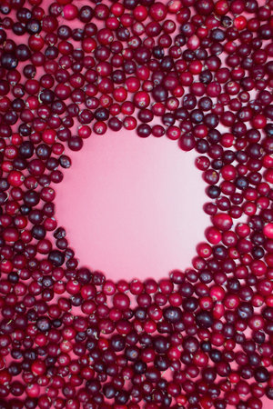 Red berries view from aboveの写真素材