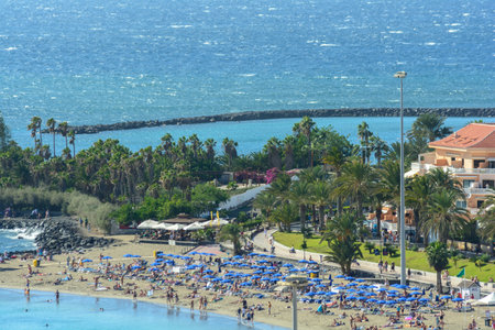 Los Cristianos beach and Adeje coastline in summer , in Tenerifeのeditorial素材